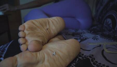 Late Night Snack - Violet Amrita