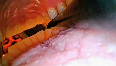 YOU Looking Out! Borescope with Penny!