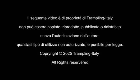 A1052 Lady Cat in Ti schiaccio ( Parte due )