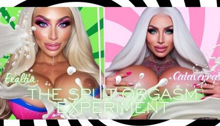 THE SPLIT ORGASM EXPERIMENT. Exaltia & Calaverra