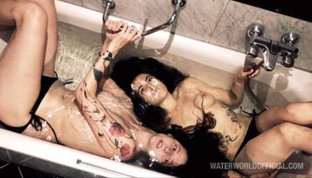 Lessi Yin Niel Yang Essential HD