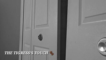 THE TIGRESS’S TOUCH