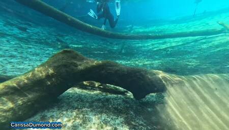 Cat Woman returns to Carissa form and snorkels the dark tree limb forest