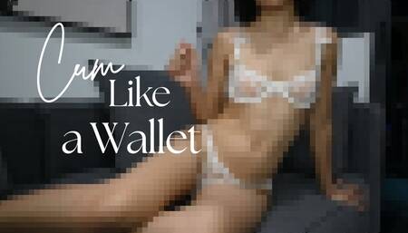 You Are My Wallet: Findom Training (Pixelated)