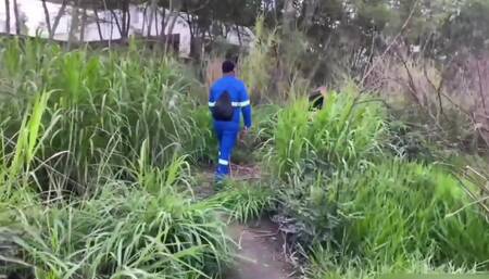 A Worker Passed Through the Park and Received a Blowjob.