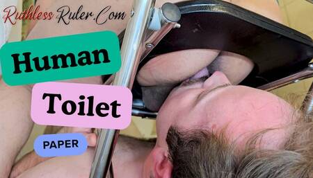 My Toilet Paper Mobile