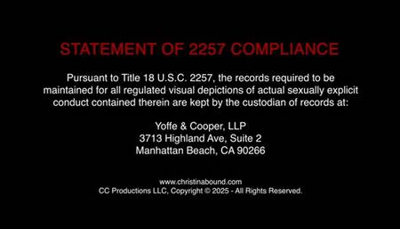 Dumber Than The Plumber