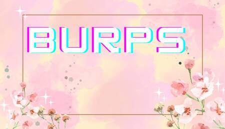 SNACK BURPS