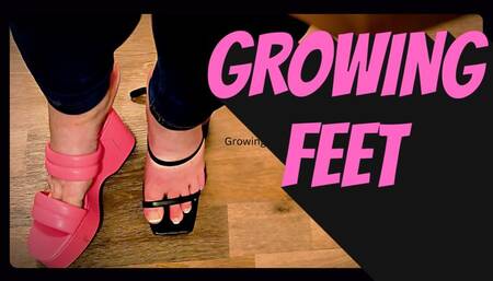 BBW Ever Growing BIG Feet