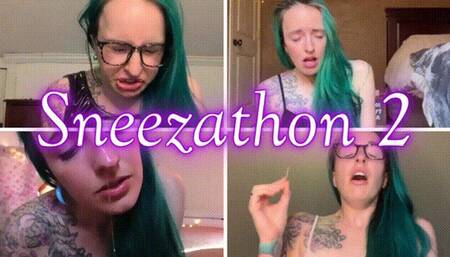 Sneezathon 2 *wmv*