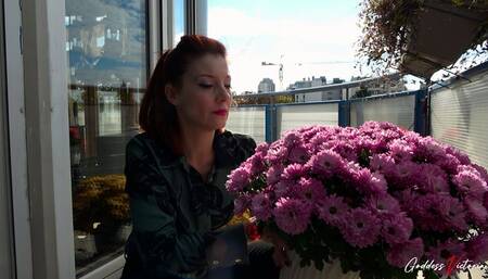 HD_Goddess Victoria, may I be your slave? - part 2