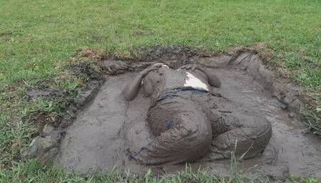 Sexy Blue Jeans and Sensual Mud Play