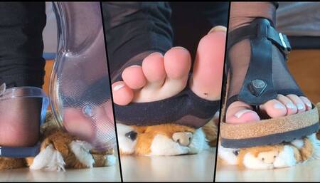 Plushie Trampled under Sandals and Bare Feet - Transparent Sandals, Birkenstocks and Toeless Socks - Crushing, trampling and walking all over Plushie - Femboy Feet, Soles and Toes - [1080p] copy