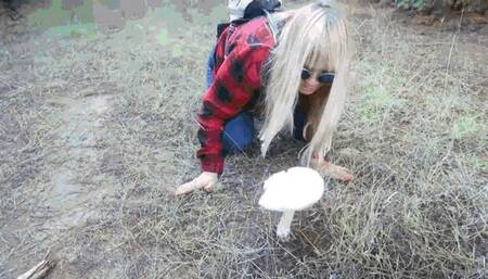 Mushroom Hunting in the Forest MP4 (1920x1080) FHD