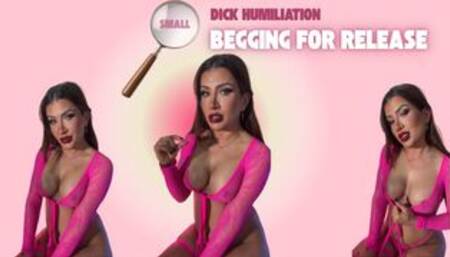 Small Dick Humiliation: Begging for Release