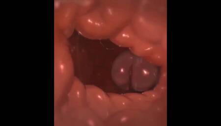 Tasque Manager X Swatchling