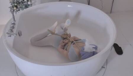 bathtub toy