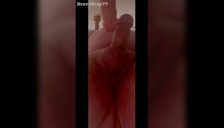 Bravoxray77 Bear Exploring