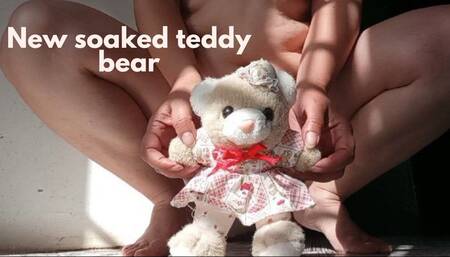 New soaked teddy bear
