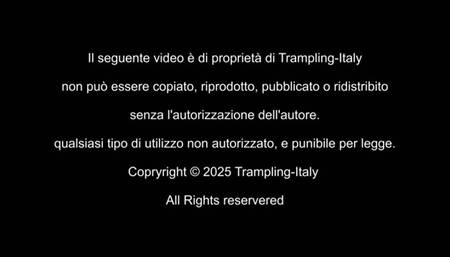 A1056 Lady Cat in Passeggiata al mare