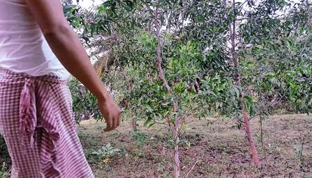 desi Indian virgin girl