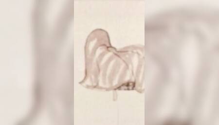 Perverted Cartoons (part 2)