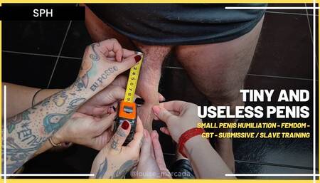 Tiny and Useless Penis: Three Goddesses Humiliate the Ridiculous Little Thing of the Submissive (1080 EN SUB) - Small Penis Humiliation - Femdom - CBT - Submissive - Slave Training