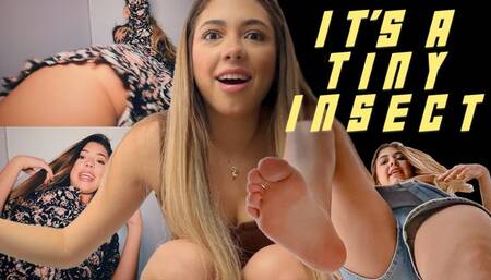 IS THAT AN INSECT? New Giantess Ava 1080