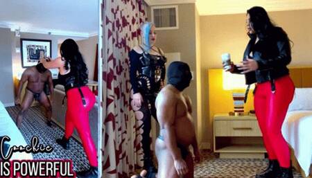 COOCHIE IS POWERFUL - BallBusting CBT