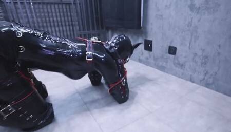 Female training camp 06