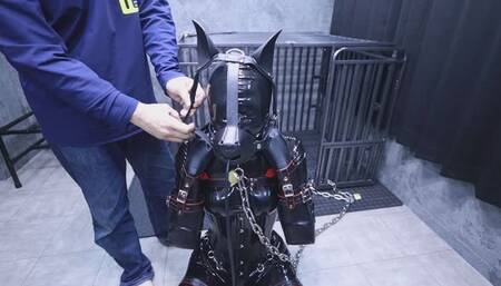 Female dog training camp 04