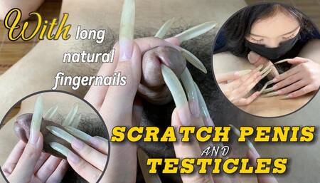 C4SBondage25 Scratch Penis And Testicles With Long Natural Fingernails | LINH'S LONG NAIL | CRAZY ABOUT LONG AND NATURAL NAILS