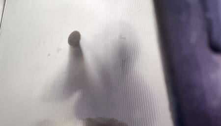 Watch Your Sister-in-law in the Shower