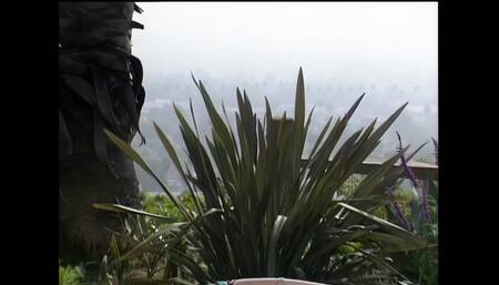 Tommi Rose: Hot and Eager to Be Banged Hard Outdoors