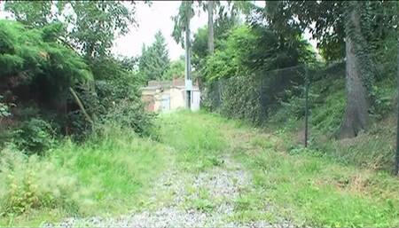 Crazy threesome pussy fucking hairy old cock sucking