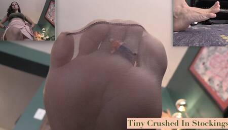 TINY CRUSHED IN STOCKINGS - Jamie Daniels, Giantess, POV, Stockings, Foot Fetish - WMV