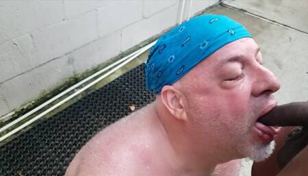 Bear Gets Pissed on by BBC