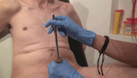 Penis Penetration (1080p)