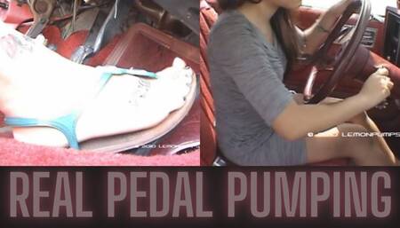 Latina Flooding-Clutch-Stalling 81 Chevy Citation