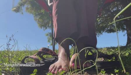 Temptress Mango is Barefoot & Dirty : Ebony Giantess Dirty Feet and Soles Worship