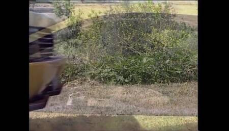 Licking fucking fingering, sexy girls sexy pussy