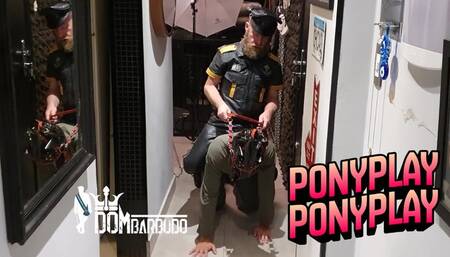 PONY SERVITUDE SESSION - 1080p - WITH DOM BARBUDO