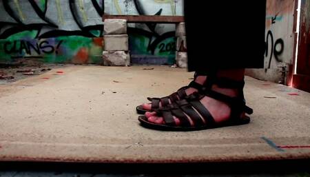 Brown Gladiator Sandals