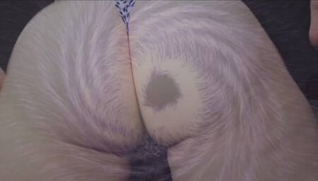 Snap and Send Wallet Rinse (Ass)