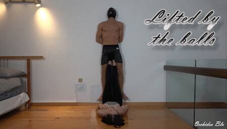 ORCHIDEA - LIFTED BY THE BALLS