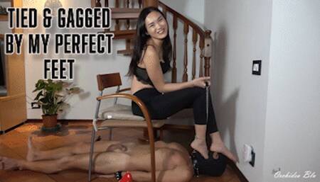 ORCHIDEA - TIED AND GAGGED BY MY PERFECT FEET