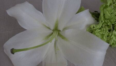 Let's crush the flowers into shreds