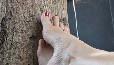 Katherine Barefoot Porn with sexy red nail polish