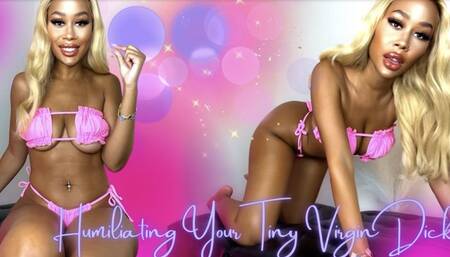 Humiliating Your Tiny Virgin Dick