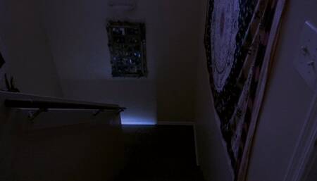 The Slimed Detective